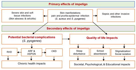 Antibiotics | Free Full-Text | Intolerable Burden of Impetigo in Endemic Settings: A Review of ...