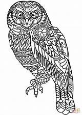 Zentangle Coloring Pages Tree Outlines sketch template
