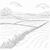 Paddy Field Coloring Page Line Drawing Cartoon Clipart Image Outline  sketch template