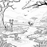Ecosystem Coloring Pages  Free & Printable sketch template