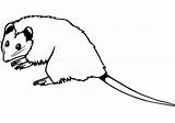 Opossum Outline Coloring Page  Free Printable Pages For Kids sketch template