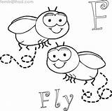 Printable Fly Coloring Pages PDF  Coloringfoldercom sketch template