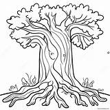 Realistic Oak Tree Coloring Page 61493 48657 sketch template