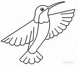 Printable Hummingbird Coloring Pages For Kids  Cool2bKids sketch template
