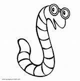 Worm With Glasses coloring page  COLORING PAGES PRINTABLECOM sketch template