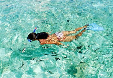 Snorkeling In Key West - Lost Reef Adventures Snorkeling Trips