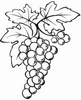 Bunch Of grapes coloring page With Fruits sketch template