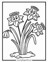 Daffodil Coloring Pages Free PDF Printables  HQ sketch template