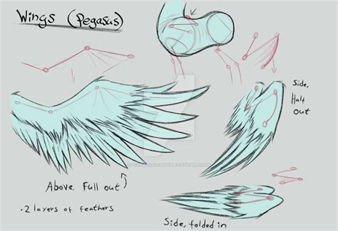 Decided to make this in order to better understand and draw more realistic pegasi wings for my ...