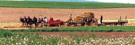 OLD Crow Antiques and Amish Tours: Fall Amish Tours in Harmony/Lanesboro/Canton Minnesota