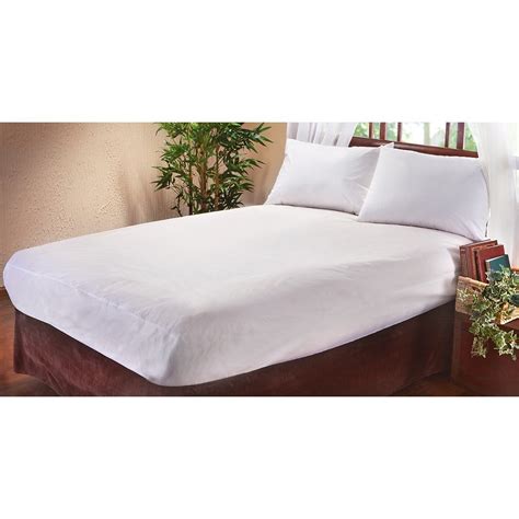 Bed Bug Protector Mattress Cover - Home Furniture Design
