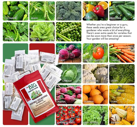 My Big Vegetable Garden - 20 Vegetable Seed Variety Pack