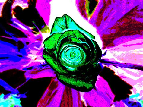 Pop-Art flower by alexandruana on deviantART
