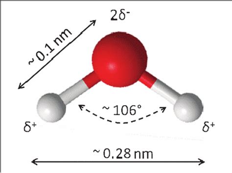 H2O Molecule Model