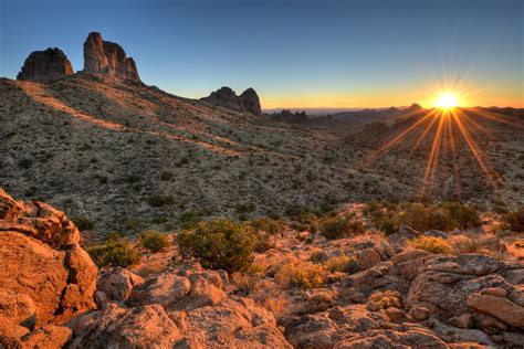 Pick Mojave National Preserve over Joshua Tree: Twice the size, a quarter the visitors, all the ...