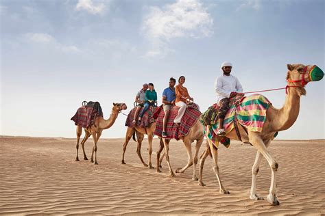Top 6 things to do in Dubai’s desert | Visit Dubai