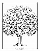 Tree Coloring Pages  World Of Printables sketch template
