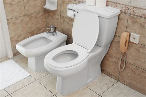 A Toilet and Bidet Combo Is The Only Way: No Toilet Paper, No Problem — Build With a Bang