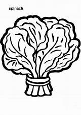 Spinach Vegetable Coloring Pages sketch template