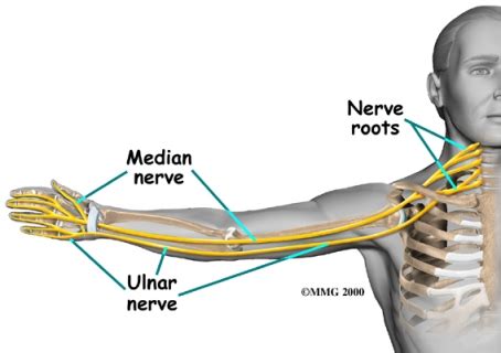 Test, nerve conduction. Causes, symptoms, treatment Test, nerve conduction