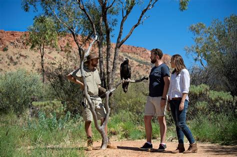 Alice Springs Desert Park Tour, Australia - Distant Journeys