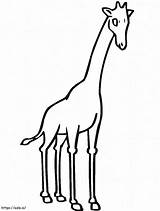 Giraffe Outline coloring Page sketch template