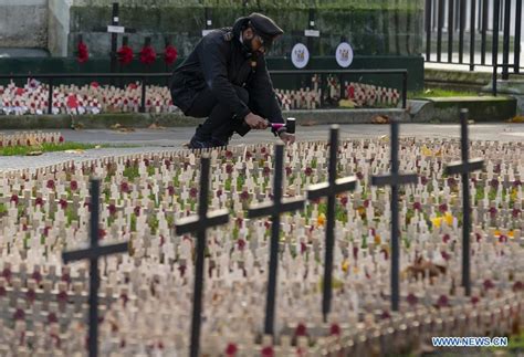 Crosses bearing poppy petals planted in Field of Remembrance before ...