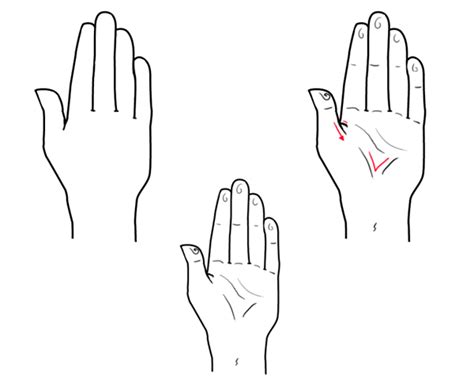 Quick Tip: How to Draw a Hand Based on Geometric Shapes