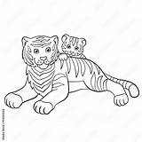 Baby Tiger Coloring Page sketch template