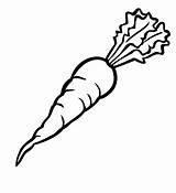 A Carrot Coloring Page  Free Printable Pages For Kids sketch template
