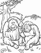 Free Printable Zoo Coloring Pages For Kids sketch template