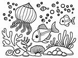 Under The Sea Coloring Page · Creative Fabrica sketch template