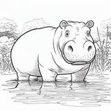Coloring Hippo Animal Pages Makenstitch sketch template