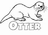 Baby Sea Otter Coloring Pages Sketch Page sketch template