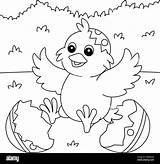 Chicken Egg Coloring Page sketch template