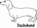Funny Weiner Dog Coloring Pages sketch template