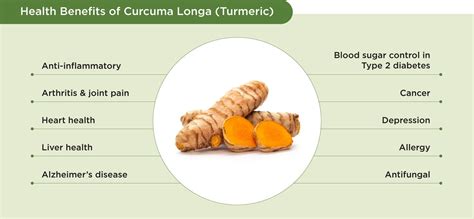 Curcuma Longa (Turmeric) - YesHealth Supplement Mall