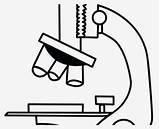Download Microscope Clipart Coloring  Black And sketch template
