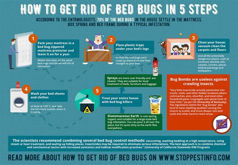 How to get rid of bed bugs Bed Bug Control, Diy Pest Control, Flea Control, Kill Bed Bugs, Rid ...