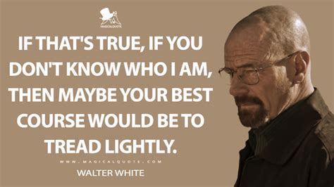 Say My Name: The Most Powerful Walter White Quotes - MagicalQuote