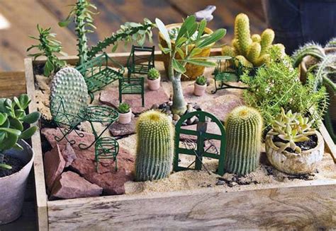 92 best images about Terrarium ( Mini Cactus Gardens ) on Pinterest ...