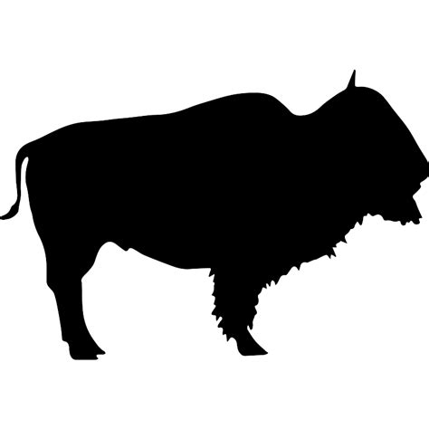 Buffalo Wild Beast Silhouette Vector SVG Icon - SVG Repo