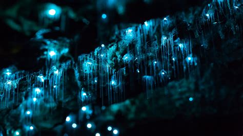 New Zealand's Waitomo Glowworm Caves in 4K | The Kid Should See This