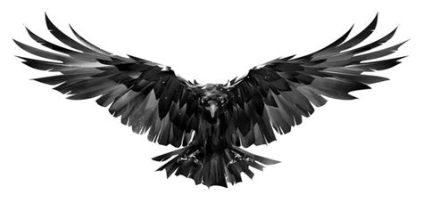 8+ Thousand Crow Tattoo Royalty-Free Images, Stock Photos & Pictures | Shutterstock