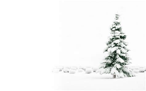 Snowy Christmas Backgrounds (48+ images)