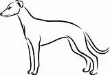 Ausmalbild Whippet  Ausmalbilder Kostenlos Zum Ausdrucken sketch template