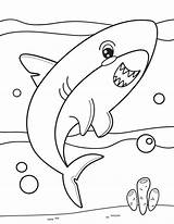 25 Free Shark Coloring Pages For Kids And Adults sketch template
