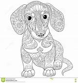 Easy Zentangle Coloring Page Dog Pages sketch template