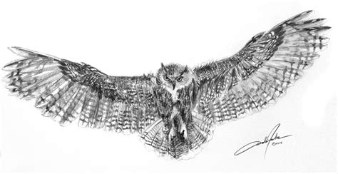 Dale Jackson - Eagle Owl In Flight Drawing