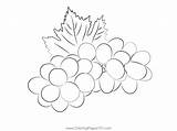 Green Grapes Coloring Page For Kids  Free Grape Printable sketch template